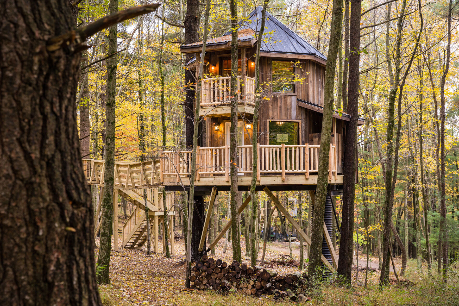 Homes Treehouses